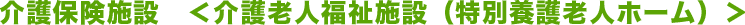 介護老人福祉施設(特別養護老人ホーム)