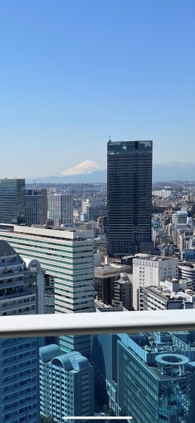 晴れた日には四季折々の富士山の様子を愉しむことができます。(気象条件により、永続的保証なし)