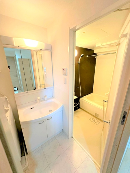 三面鏡の裏側は収納になっているので、散らかりがちな洗面小物もすっきりと収納していただけます。