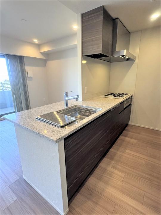 対面カウンターシステムキッチン　食洗乾燥機付き