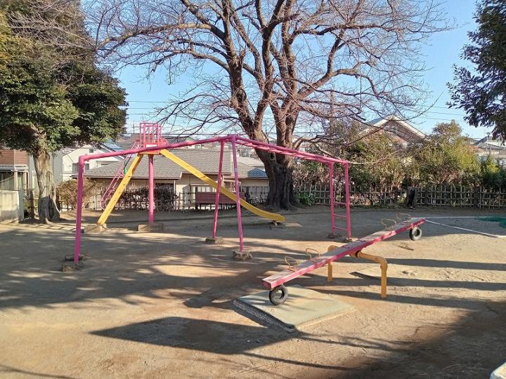 道路向かいの公園(市立椎の実公園)