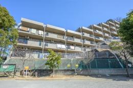 藤和ライブタウン綱島の丘B棟の外観