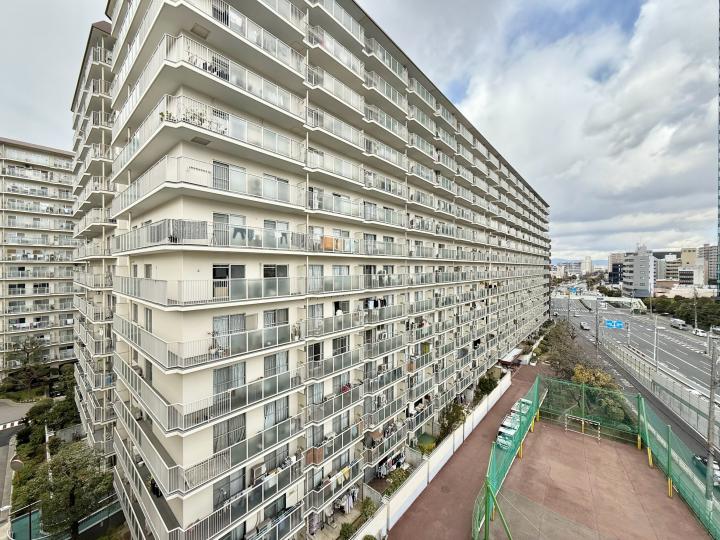 2025年2月20日撮影