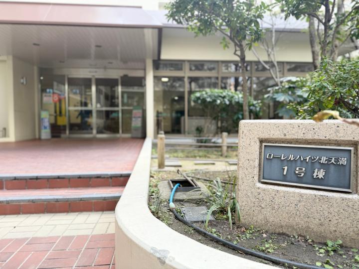 2025年2月20日撮影