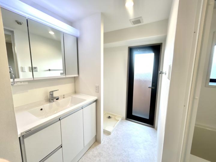 パナソニックのシーラインD530タイプの洗面台です。