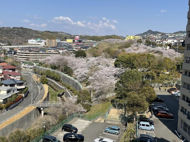 北側バルコニーからの眺望