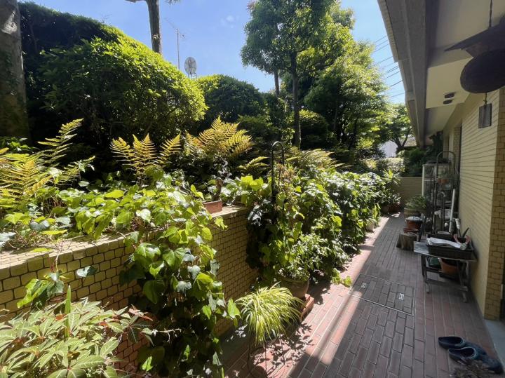 緑が多い専用庭