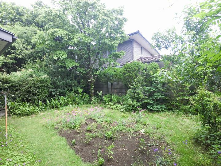 現地土地写真(南東側敷地)