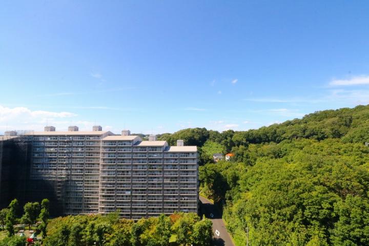 北側バルコニーからの眺望です。