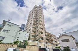 ライオンズグローベル相模大野ラフィナフォートの外観