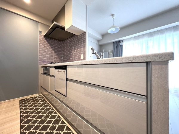 食器洗い乾燥機付きのシステムキッチンです。