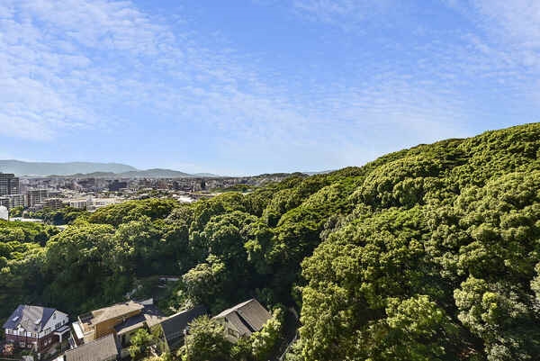 開放的な景色が広がります。都心でありながら壮大な森を抱く南公園に隣接し、四季折々の自然が楽しめます。