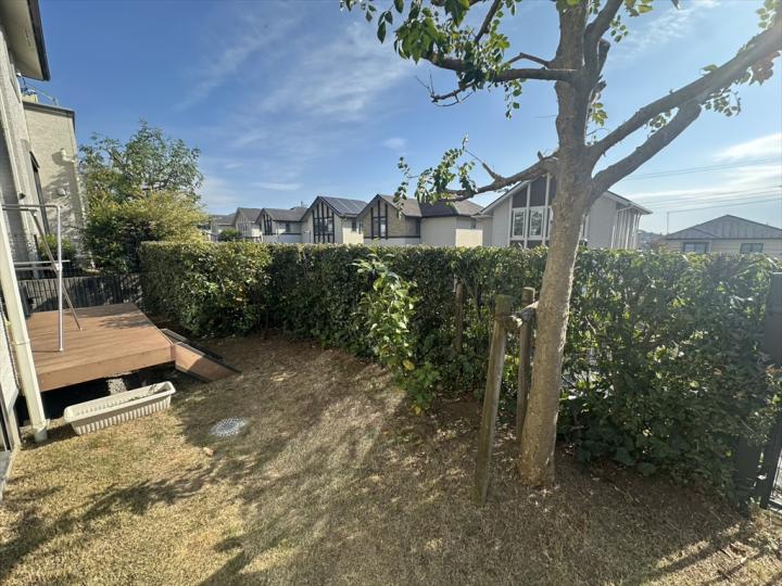 10月に植栽の剪定をしました。