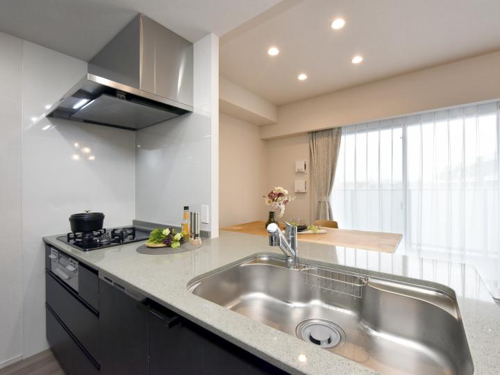 ■カウンターシステムキッチン!(オプション:側面と裏面を扉同面材)