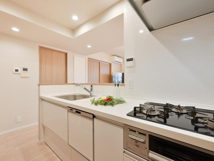 食器洗浄乾燥機、ディスポーザー(生ごみ粉砕処理器)付設