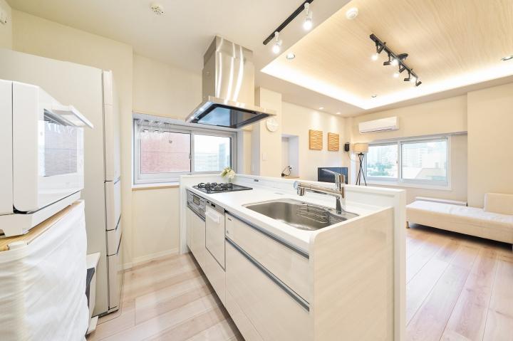 浄水機能、食器洗い乾燥機付