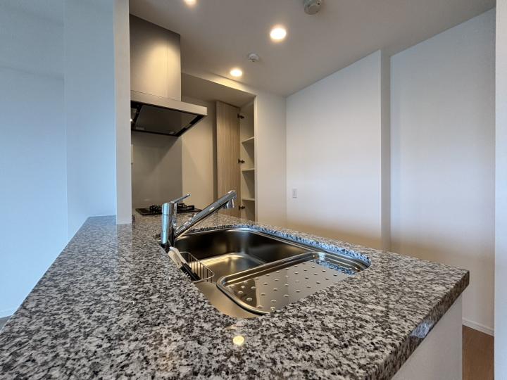 ディスポーザー付きです