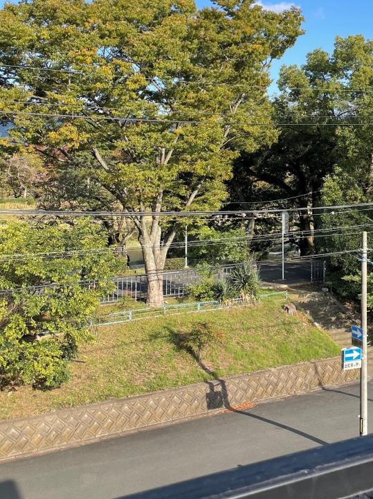 東側ルーフバルコニーからの眺望