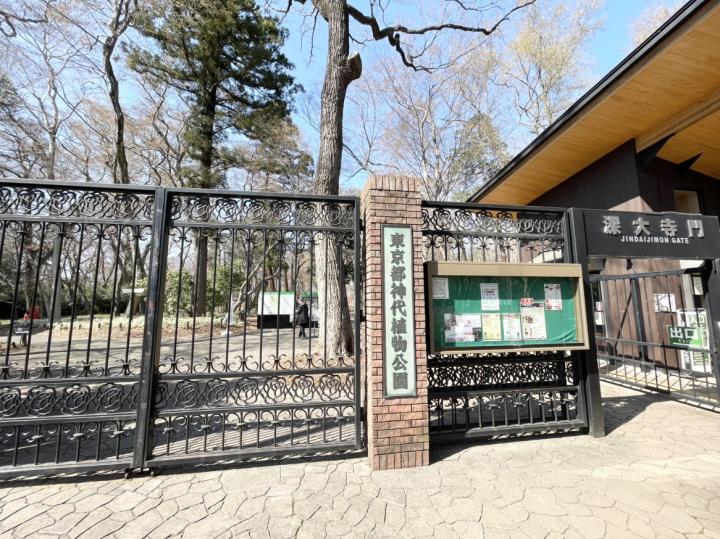 エリアおすすめスポット:神代植物公園