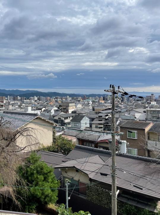 ２階からの眺望