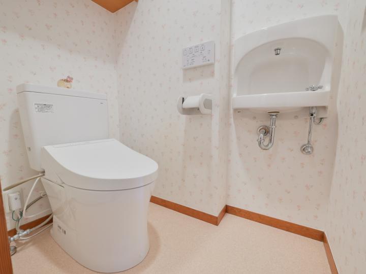 温水洗浄便座機能付きです。