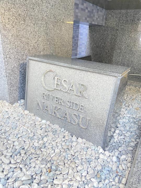 セザールリバーサイド中洲