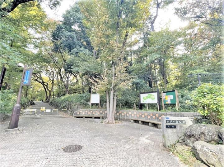 林試の森公園・徒歩4分