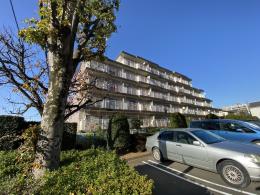 若葉グリーンハイツAの外観