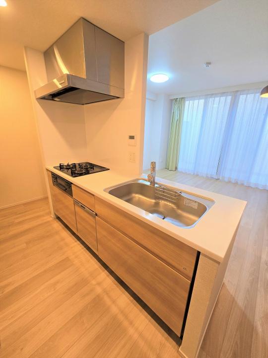 食器洗浄乾燥機・浄水器一体水栓・ガスコンロ3口・大型静音シンク