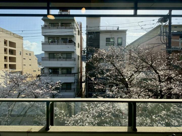春にはバルコニーから桜が望めます。