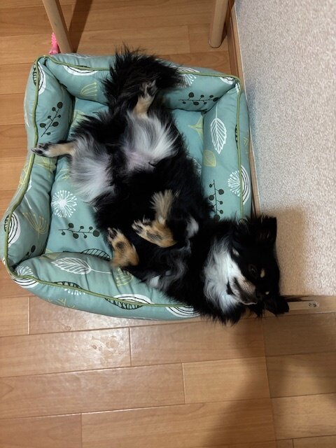 image0.jpeg