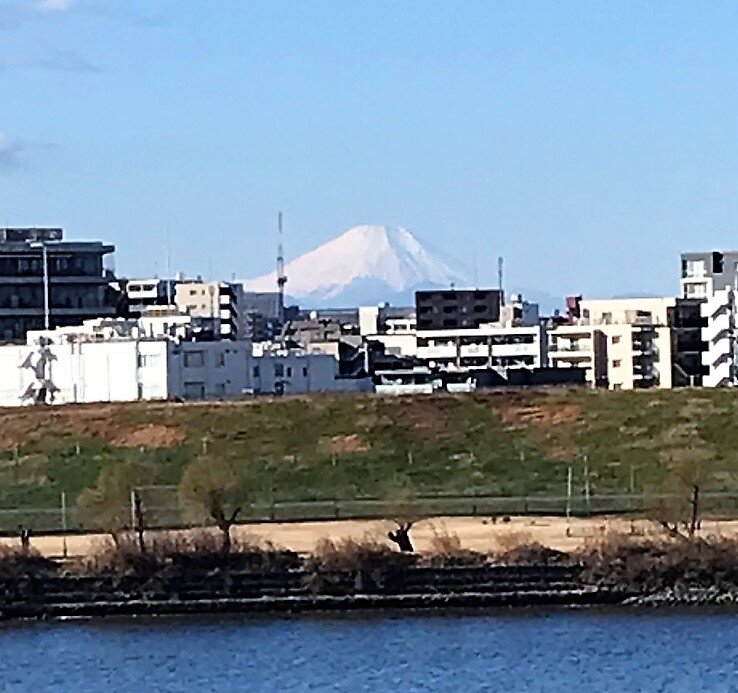 荒川からの富士山.jpg