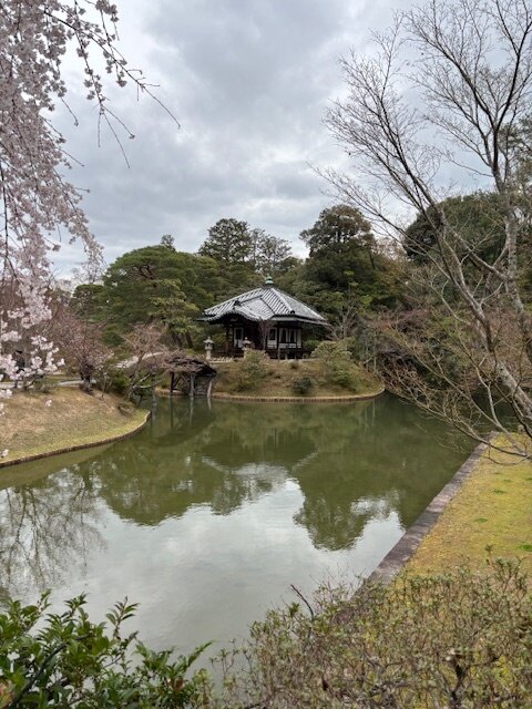 image1.jpeg