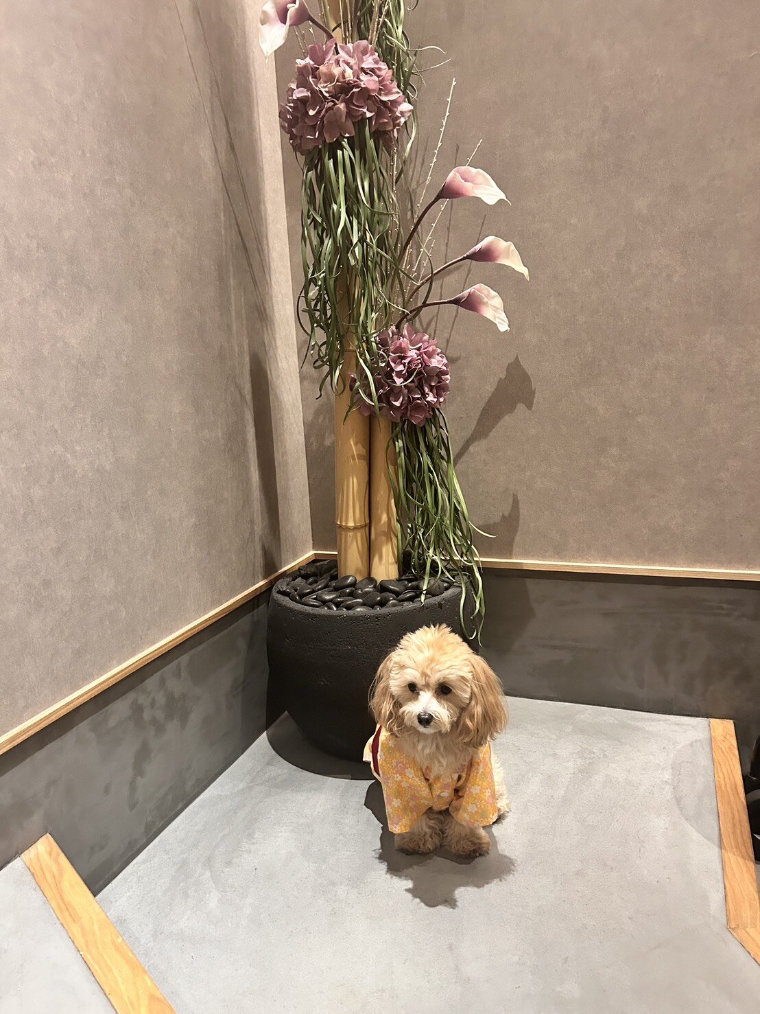 589939917661143230 (1).jpg