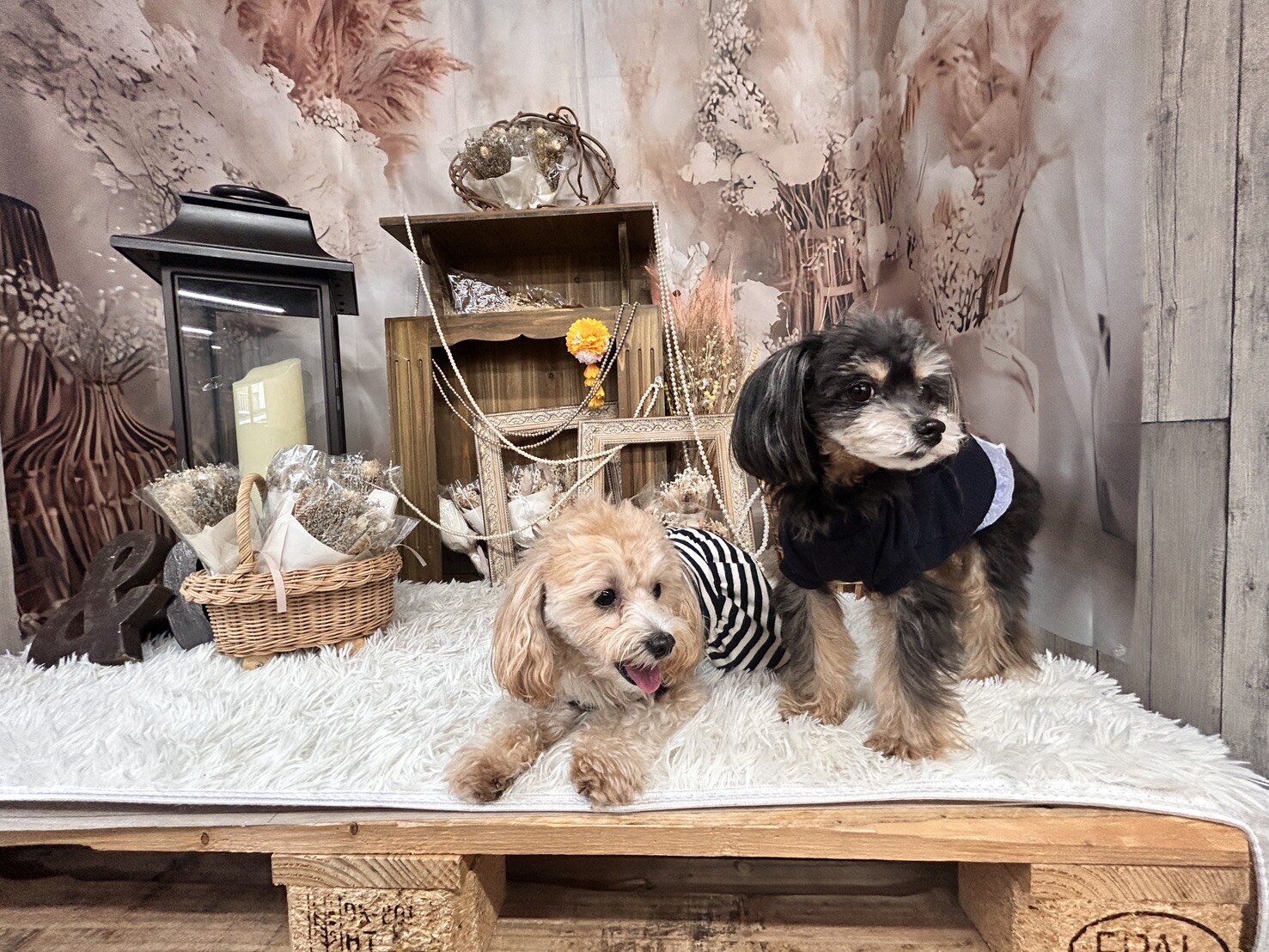 584768876072403285 (1).jpg