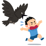カラス.png