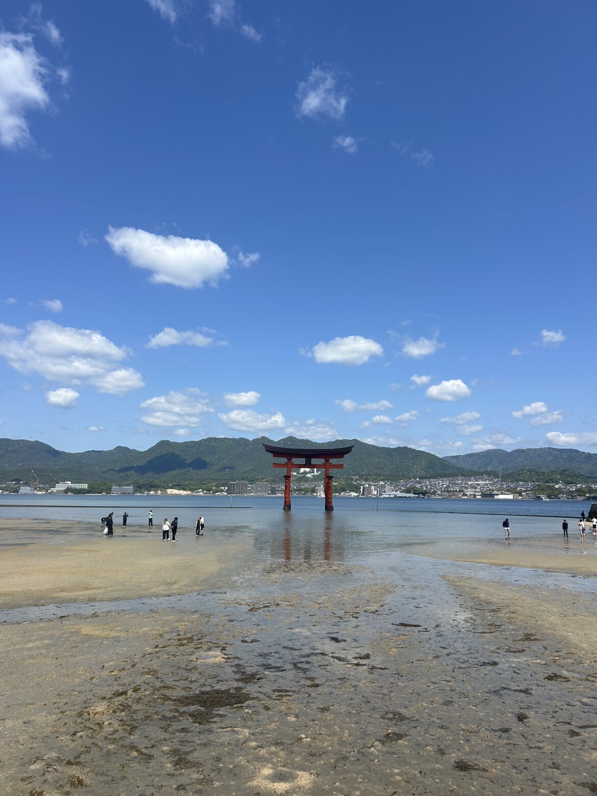 IMG_2943.jpeg