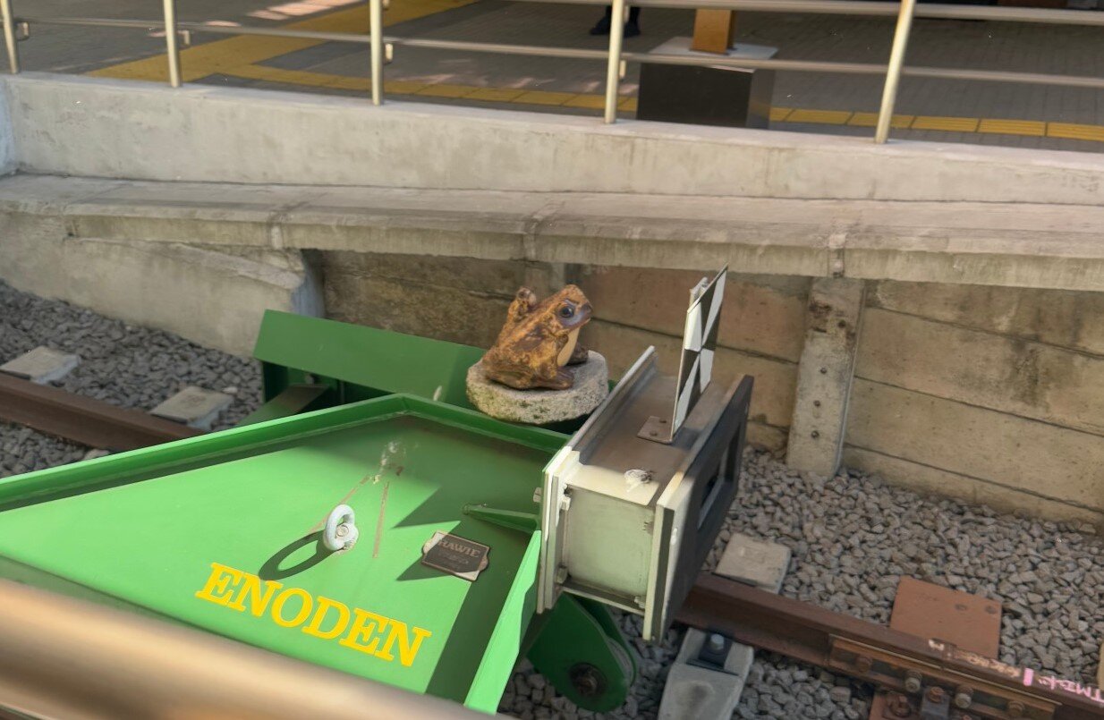 江ノ電のカエル.jpg